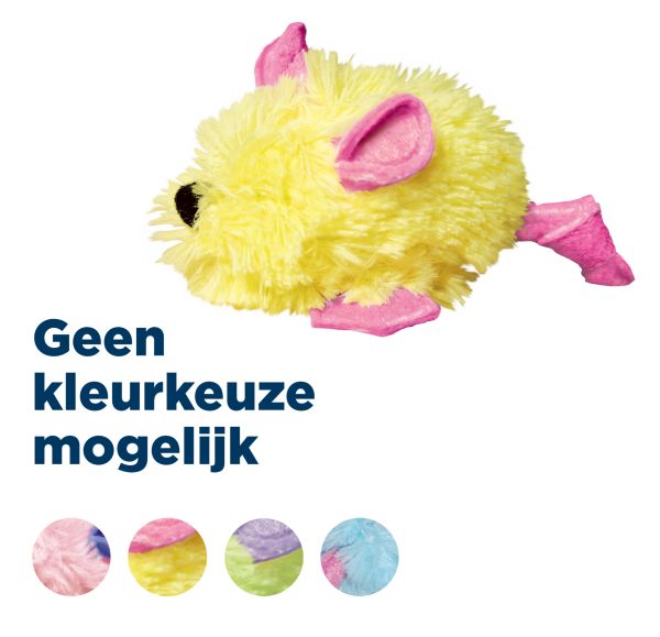 Kong kat kitten muis