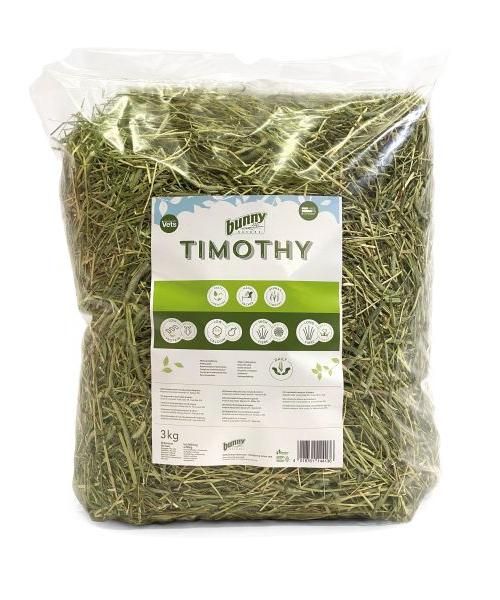 Bunny nature timothy hooi