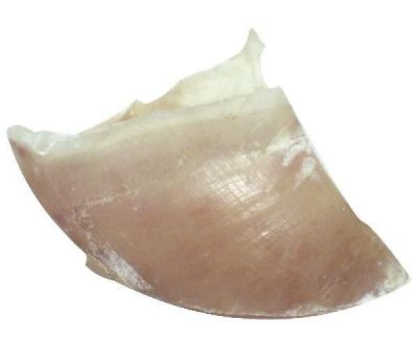 Dogstar kalfshoeven groot